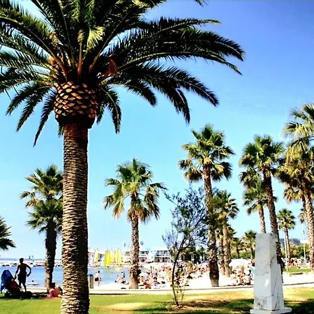 The Dream バンドール